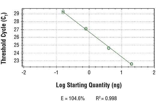 PCR Efficiency